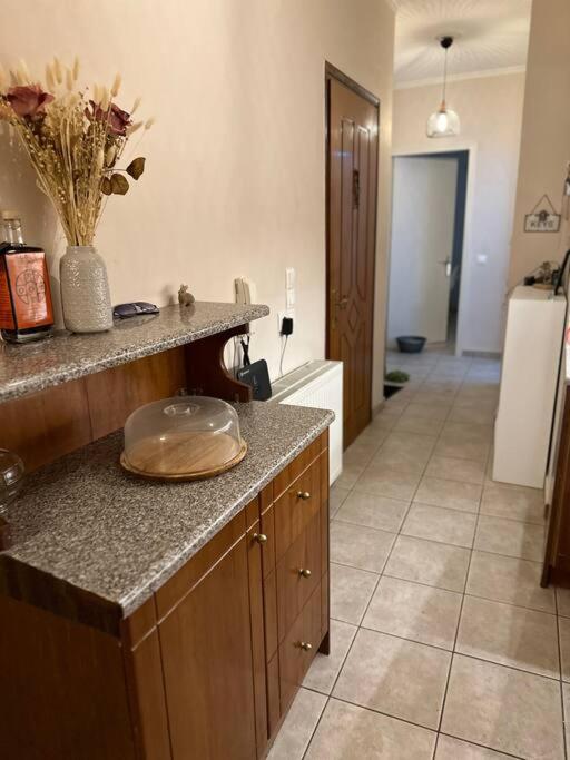 Casa Del Nonno Apartment Anemomylos Екстериор снимка